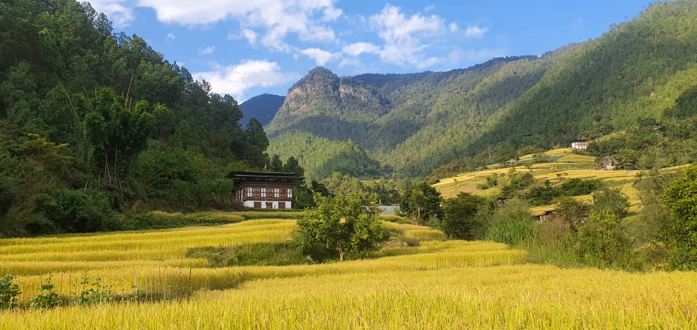 Book Bhutan Tour Package