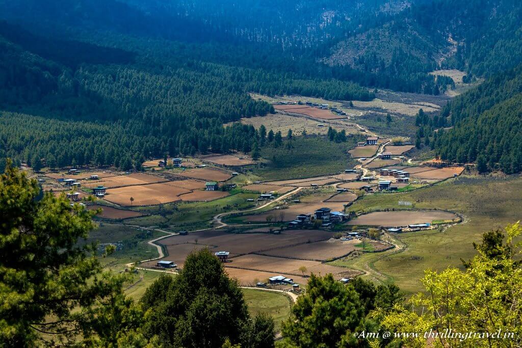 Srinagar